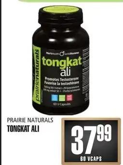 Marches Tau TONGKAT ALI PRAIRIE NATURAL offer
