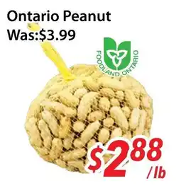 Ample Food Market Ontario Peanut offer