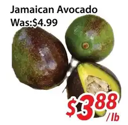Ample Food Market Jamaican Avocado offer