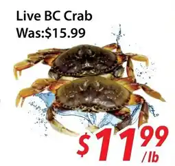 Ample Food Market Live BC Crab offer