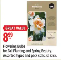 Canadian Tire Flowering Bulbs for Fall Planting and Spring Beauty offer