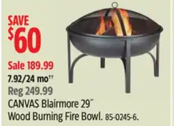 Canadian Tire CANVAS Blairmore 29˝ Wood Burning Fire Bowl offer