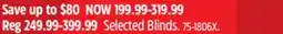 Canadian Tire Ameristep Selected Blinds offer