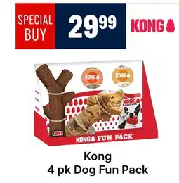 Ren’s Pets Depot Kong 4 pk Dog Fun Pack offer