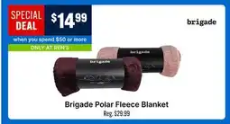 Ren’s Pets Depot Brigade Polar Fleece Blanket offer