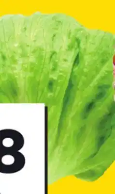 Giant Tiger iceberg lettuce offer