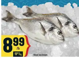 Marché Adonis ROYAL SEA BREAM offer