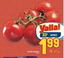 Marché Adonis RED VINE TOMATOES offer