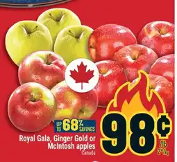 Marché Adonis ROYAL GALA, GINGER GOLD OR MCINTOSH APPLES offer