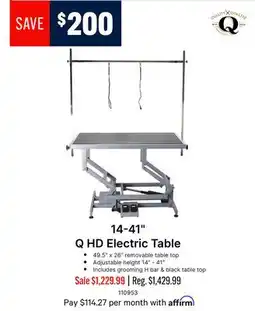 Ren’s Pets Depot 14-41 Q HD Electric Table offer