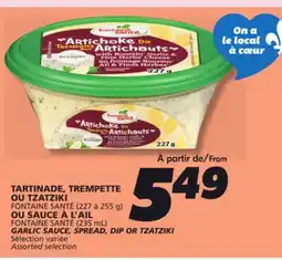 IGA FONTAINE SANTÉ GARLIC SAUCE, SPREAD, DIP OR TZATZIKI offer