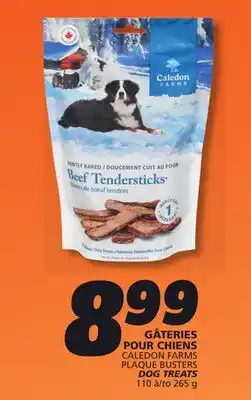 IGA CALEDON FARMS PLAQUE BUSTERS DOG TREATS offer