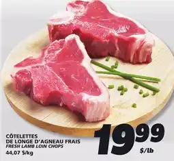 IGA FRESH LAMB LOIN CHOPS offer