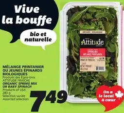 IGA ATTITUDE FRAÎCHE ORGANIC SPRING MIX OR BABY SPINACH offer