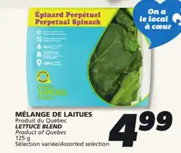IGA LETTUCE BLEND offer