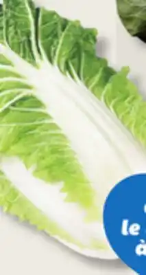 IGA CABBAGE offer