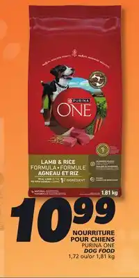 IGA PURINA ONE DOG FOOD offer