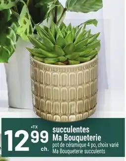 Metro SUCCULENTES MA BOUQUETERIE | MA BOUQUETERIE SUCCULENTS offer