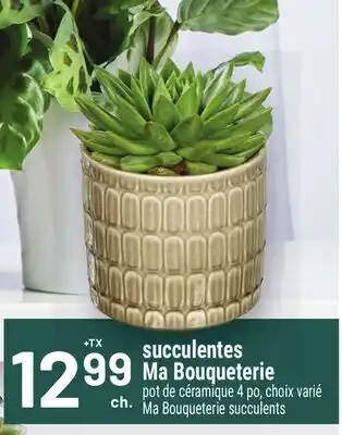 Metro SUCCULENTES MA BOUQUETERIE | MA BOUQUETERIE SUCCULENTS offer