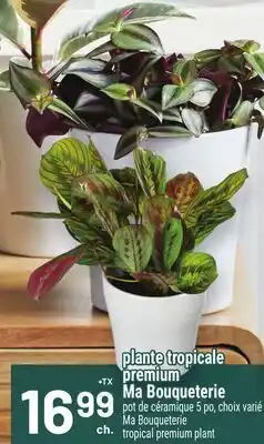 Metro PLANTE TROPICALE PREMIUM MA BOUQUETERIE | MA BOUQUETERIE TROPICAL PREMIUM PLANT offer