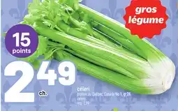 Metro CÉLERI | CELERY offer