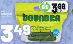 Metro MINI CONCOMBRES | MINI CUCUMBERS offer
