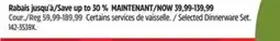 Canadian Tire CANVAS Selected Dinnerware Set offer