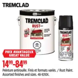 Canadian Tire Rust Paint. Assorted finishes and sizes offer