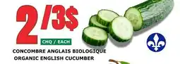 Marches Tau CONCOMBRE ANGLAIS BIOLOGIQUE offer