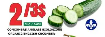 Marches Tau CONCOMBRE ANGLAIS BIOLOGIQUE offer