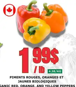Marches Tau PIMENTS ROUGES, ORANGES ET JAUNES BIOLOGIQUES offer