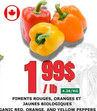 Marches Tau PIMENTS ROUGES, ORANGES ET JAUNES BIOLOGIQUES offer