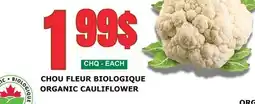 Marches Tau CHOU FLEUR BIOLOGIQUE offer
