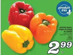 Marché Richelieu POIVRONS JAUNES, ROUGES OU ORANGE DE CHAMPS | YELLOW, RED OR ORANGE FIELD PEPPERS offer