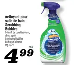 Marché Richelieu NETTOYANT POUR SALLE DE BAIN SCRUBBING BUBBLES | SCRUBBING BUBBLES BATHROOM CLEANER offer