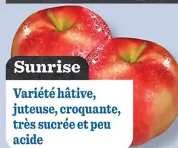 Marché Richelieu POMMES D'ICI SUNRISE offer