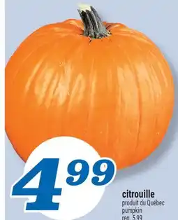 Marché Richelieu CITROUILLE | PUMPKIN offer