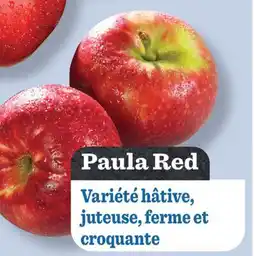 Marché Richelieu Paula Red offer