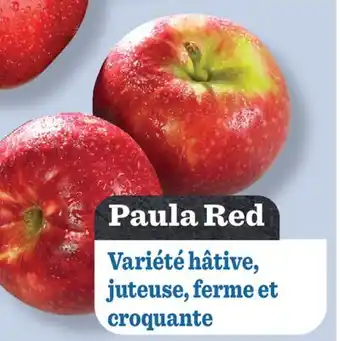 Marché Richelieu Paula Red offer