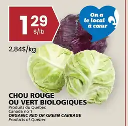 Rachelle-Bery Grocery ORGANIC RED OR GREEN CABBAGE offer