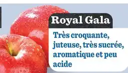 Marché Richelieu Royal Gala offer