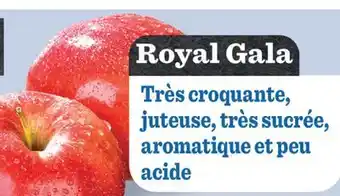 Marché Richelieu Royal Gala offer