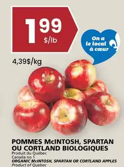 Rachelle-Bery Grocery ORGANIC MccINTOSH, SPARTAN OR CORTLAND APPLES offer