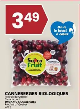 Rachelle-Bery Grocery ORGANIC CRANBERRIES offer