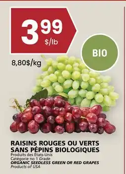 Rachelle-Bery Grocery ORGANIC SEEDLESS GREEN OR RED GRAPES offer