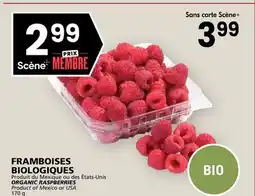 Rachelle-Bery Grocery ORGANIC RASPBERRIES offer