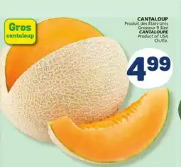 Marché Bonichoix CANTALOUPE offer