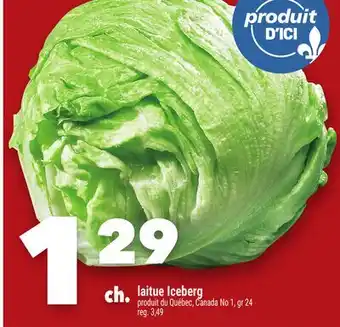 Marche Ami LAITUE ICEBERG offer