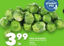 Marche Ami CHOUX DE BRUXELLES offer