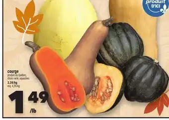 Marche Ami Courge offer